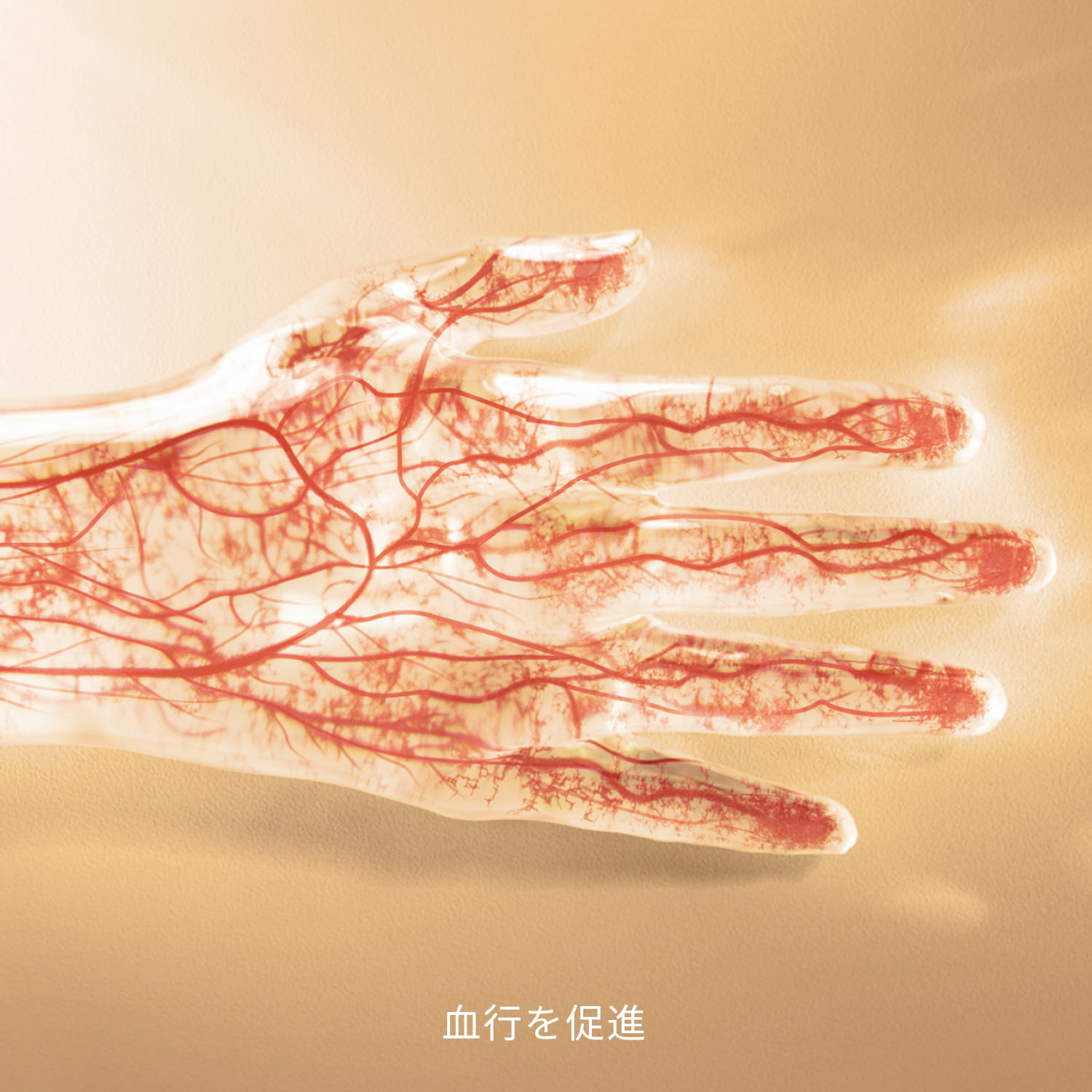 血行を促進