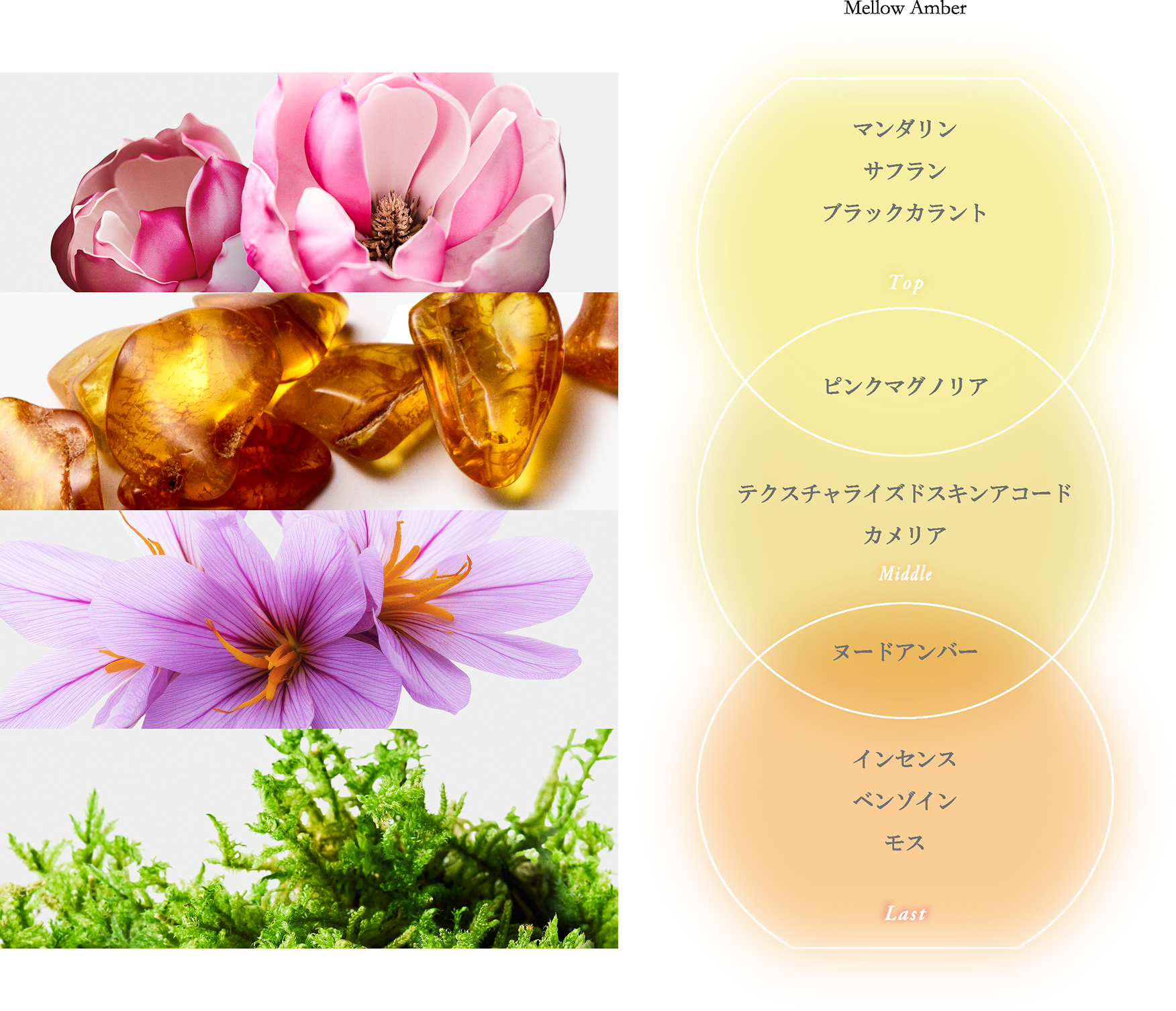 Mellow Amber