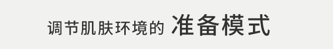 调节肌肤环境的准备模式
