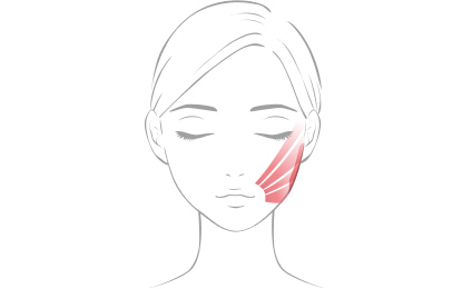 face模式